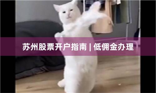 苏州股票开户指南 | 低佣金办理